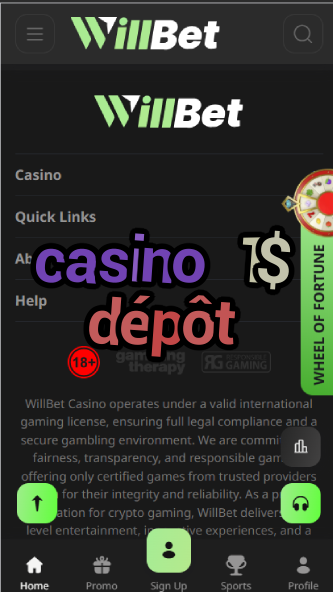 Casino 1$ Dépôt - French Casino with €1 Minimum Deposit-casinoorder.vip